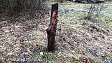 Masturbation im Wald mit einem Loch in einem Baumstamm snapshot 1