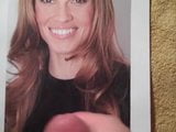 hilary swank tribute snapshot 1