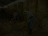 Farmerboys 2 snapshot 1