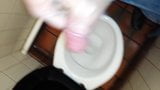 Public toilet masturbating snapshot 1