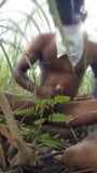 Indian school boy masturbation in farm snapshot 10