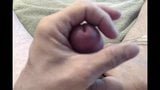 Head teasing, precum and cockring vibrating for a huge nut snapshot 1