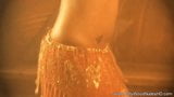 Danseuse exotique de Bollywood d'Inde snapshot 11