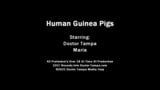 Zostań lekarzem tampą, gdy Maria stanie się twoją ludzką świnką morską wyłącznie do dziwnych eksperymentów elektrycznych e-stymulacji snapshot 13