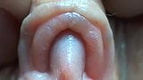 Clitoris close-up snapshot 1