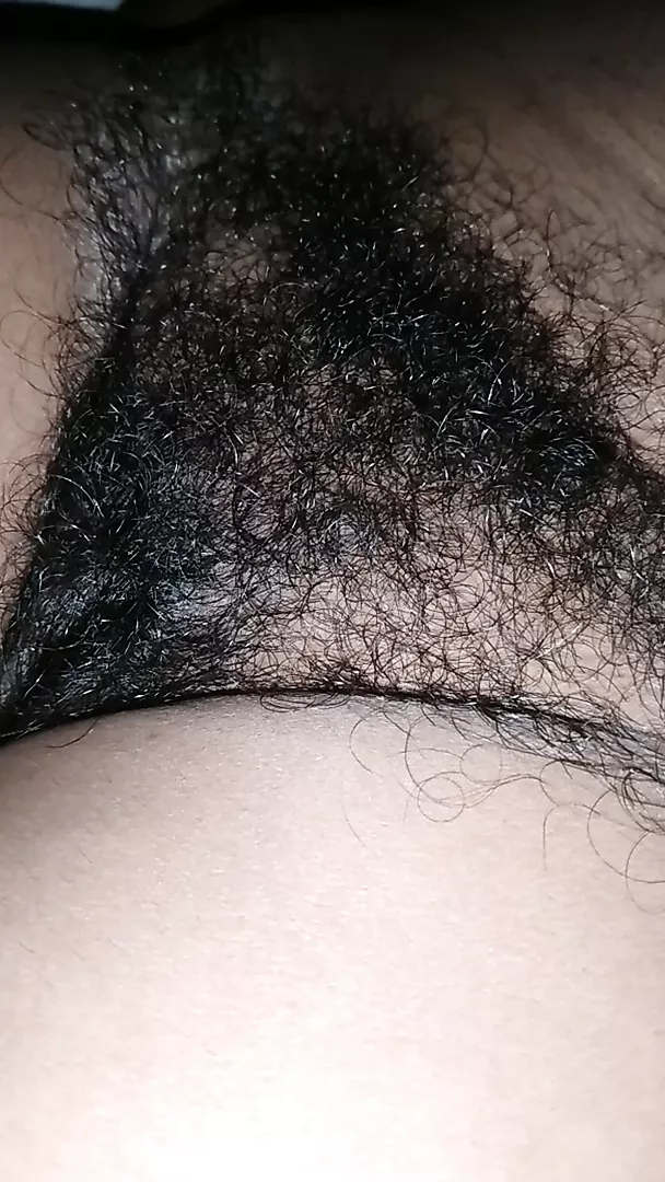 xhamster
