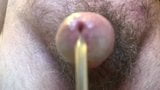 Swallow my cum snapshot 2