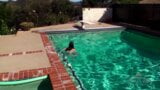 Śliczny owłosiony bz bierze kąpiel w basenie snapshot 16