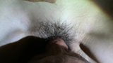 FRENCH CUKOLD LICK BBC'S CUM OF HIS WIFE'S PUSSY (creampie) snapshot 2