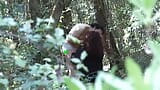 In the forest she sucks him and then fucks snapshot 3