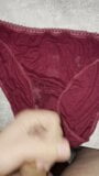 Cuming on my stepmoms worn panties snapshot 2