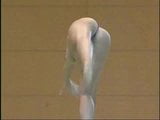 Nude Gymnastics snapshot 1