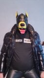 Scally Pup Gagged Trailer snapshot 4