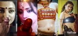 Trisha Krishnan sperma eerbetoon montage deel 1 snapshot 11