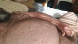 Chubby bear cumming snapshot 9