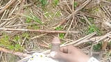 Land urine in sugarcane field hand and job mudhe mare snapshot 14