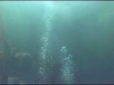 Buceo snapshot 3