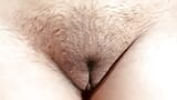 Desi hairy Indian pussy snapshot 5