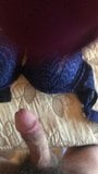 Jerking off with the other half of wifes bras and panties snapshot 20
