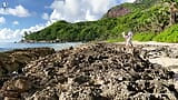 Des plages de sable et de jolies nanas se font baiser dans la nature snapshot 1