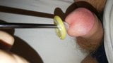 Rolling condom into urethra compilation, urethral sounding snapshot 13