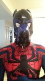 Spidey-Dog part 2 snapshot 9