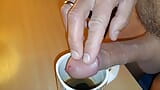 I add cream to my coffee. snapshot 8