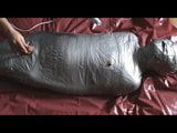 Slave as silver stepmummy snapshot 9