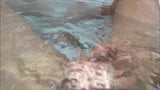 Bekijk de slow motion van de voorhuid onder water snapshot 13