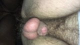 Gloryhole élevage snapshot 1