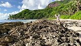 Spiagge sabbiose e ragazze carine scopate in natura pubblica snapshot 1