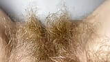 10 minutes of hairy pussy admiration huge bush closeup snapshot 2