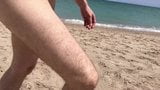 My cock at the nudist beach snapshot 7