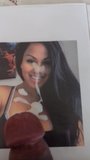 Eiaculazione omaggio per la signorina Dolly Castro snapshot 10