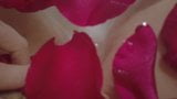 Hoa hồng tắm &amp; ngón tay âm hộ snapshot 14