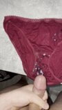 Cuming on my stepmoms worn panties snapshot 9