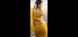 Culo di attrice indiana, tette, spettacolo caldo dell'ombelico snapshot 7