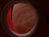 Katjakassin in een glory hole snapshot 4