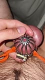 21 minutes of desperate masturbating in mini chastity cage without cum shot snapshot 15