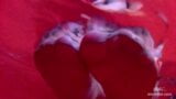 Pieds en nylon sexy dans des collants couleur chair dans une grosse baignoire rouge snapshot 3