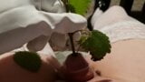 Sounding my tiny sissy cock with stinging nettles and pissing on my sofa. snapshot 1