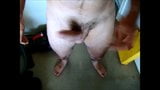 COCK TORTURE amateur snapshot 2