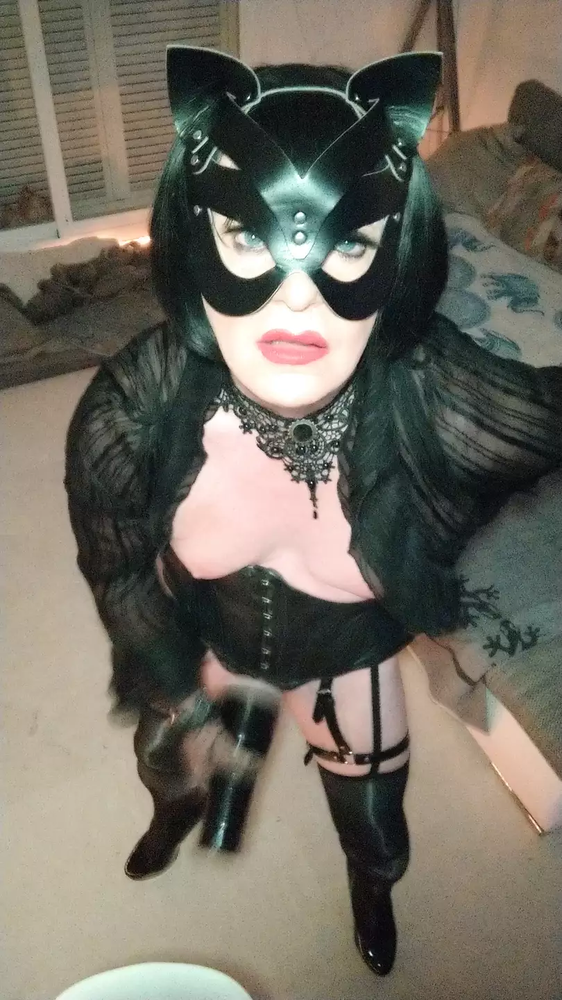 Tranny Cat