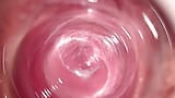 Internal Camera deep inside Mia's creamy pussy, Welcome to my vagina snapshot 8