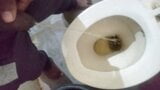 バスルームの大きな黒いチンポで放尿するインド人 snapshot 5