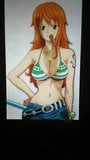 One Piece - Nami cum tribute snapshot 7