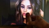 Selena Gomez tribute snapshot 3