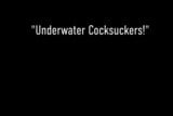 Wet Nymphs Its Cleo And Annie Knight Suck Cock Underwater! snapshot 1