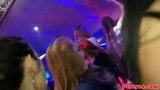 Real party euro amateur doggystyled in public snapshot 3