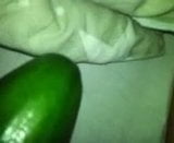 I fuck wife with cucumber 1 snapshot 2